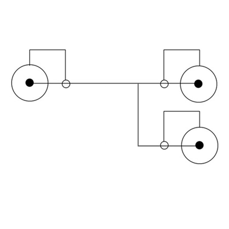 AMPIRE Audio Y-Kabel 30cm, 2 Buchsen – 1 Stecker, Blister-Verpackung – Bild 6